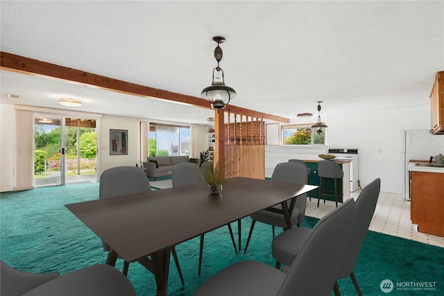 1240 Beach Dr, Camano Island, WA 98282 - dining area with healthy amount of natural light and carpet floors