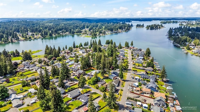 20409 70th St E, Bonney Lake, WA 98391 - aerial perspective of suburban area featuring a forest and a large body of water