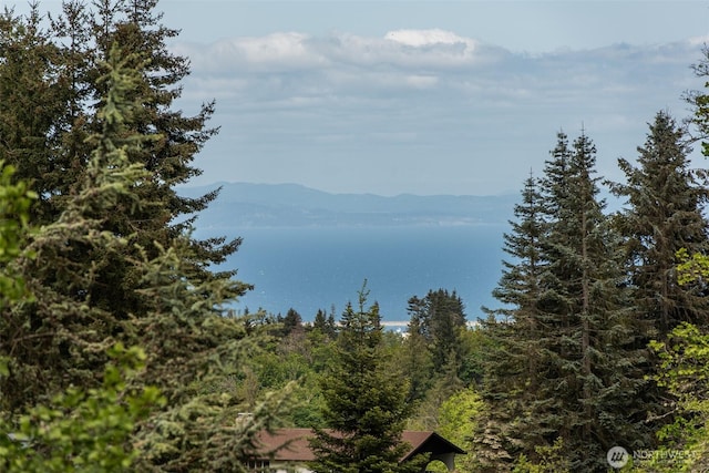 1063 Tamarack Ln, Port Angeles, WA 98362 - mountain view