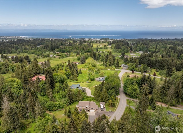 1063 Tamarack Ln, Port Angeles, WA 98362 - bird's eye view of a heavily wooded area and a large body of water