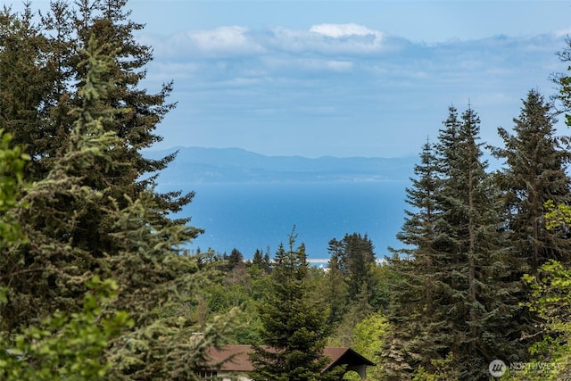 1063 Tamarack Ln, Port Angeles, WA 98362 - view of mountain background