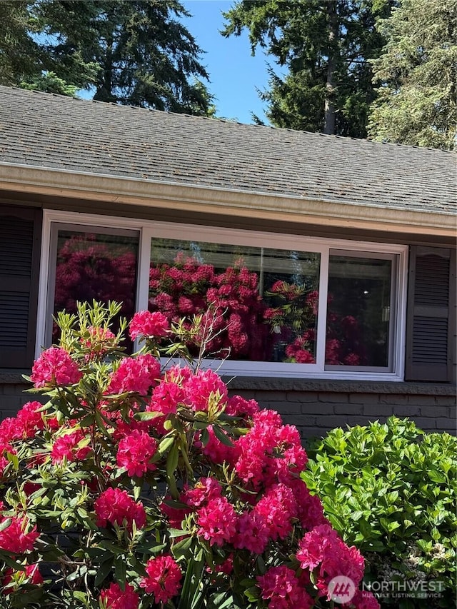 1859 N 200th St, Shoreline, WA 98133 - exterior view of roof with shingles