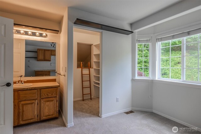 5501 55th St SE, Auburn, WA 98092 - bedroom with a sink, multiple windows, light colored carpet, and a walk in closet