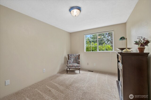 1411 154th St NW, Marysville, WA 98271 - photo 13