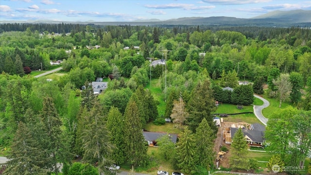 1411 154th St NW, Marysville, WA 98271 - photo 28