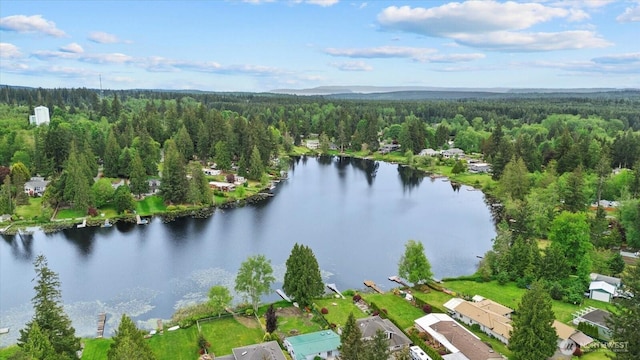 1411 154th St NW, Marysville, WA 98271 - photo 35