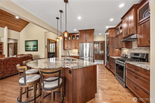 35 N Shore Dr, Orondo, WA 98843 - kitchen featuring appliances with stainless steel finishes, a sink, under cabinet range hood, recessed lighting, and light wood-style floors