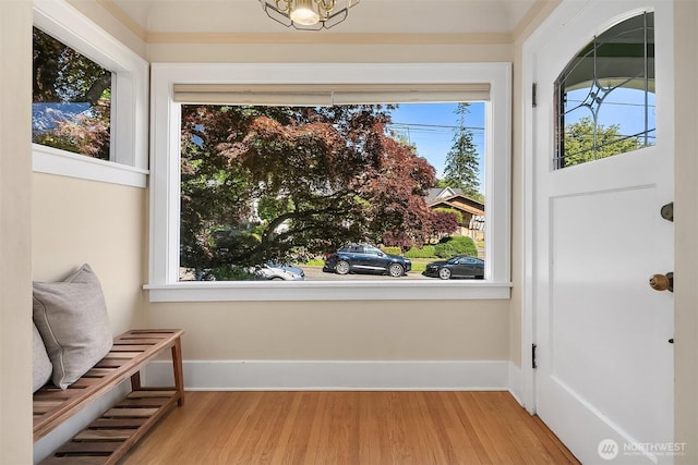 6813 17th Ave NE, Seattle, WA 98115 - foyer with wood finished floors, healthy amount of natural light, and baseboards