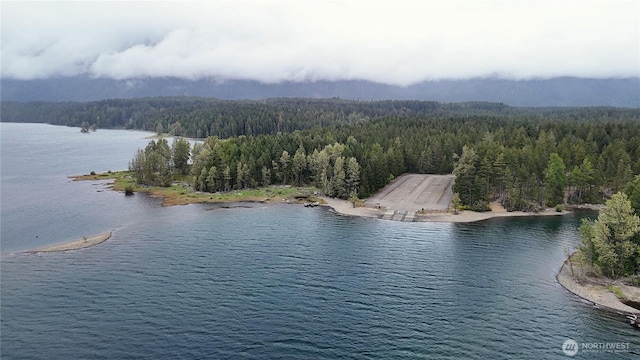 380 N Duckabush Dr E, Hoodsport, WA 98548 - photo 18