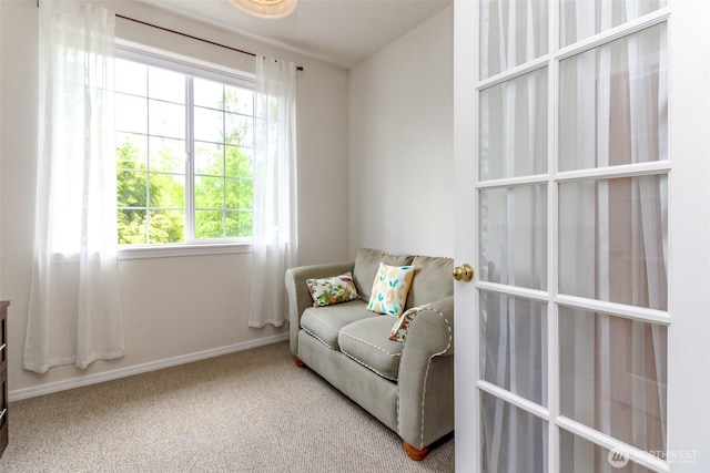 1002 9th Ave SE Unit C-201, Puyallup, WA 98372 - sitting room featuring plenty of natural light, carpet, and baseboards