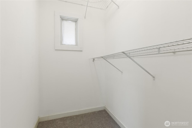 2011 E Cherry St, Seattle, WA 98122 - walk in closet with carpet flooring