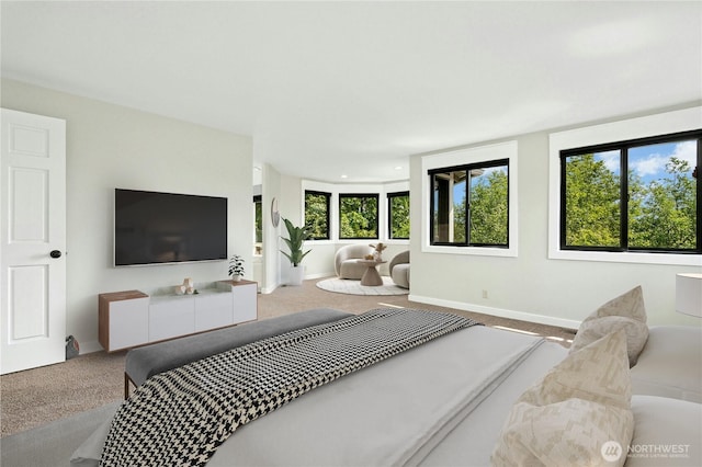 15102 93rd Pl NE, Bothell, WA 98011 - carpeted bedroom featuring baseboards and recessed lighting