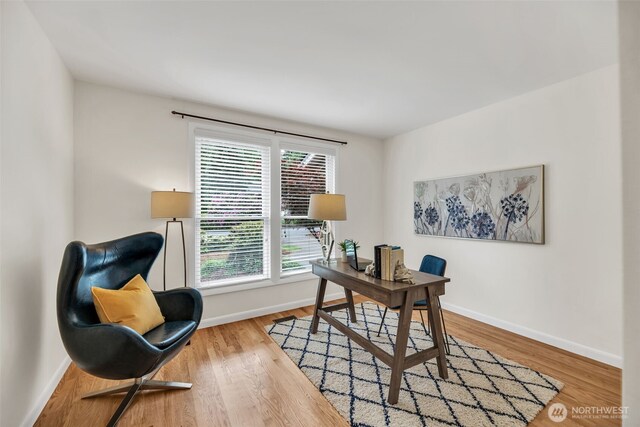 2714 Sahalee Dr E, Sammamish, WA 98074 - office space featuring plenty of natural light, baseboards, and wood finished floors