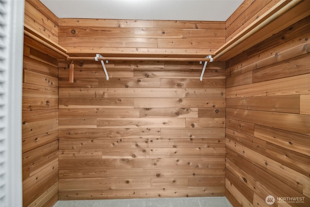 2714 Sahalee Dr E, Sammamish, WA 98074 - walk in closet featuring carpet flooring