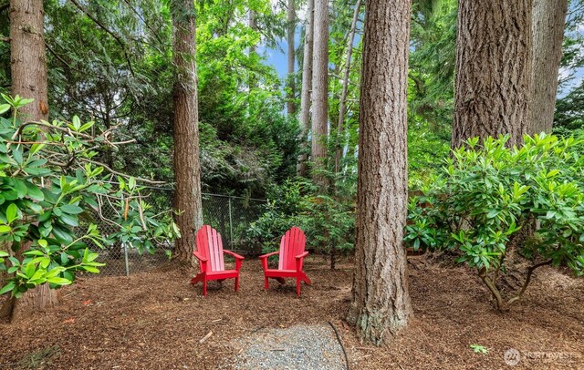 2714 Sahalee Dr E, Sammamish, WA 98074 - view of yard