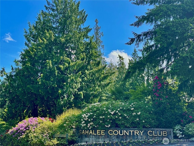 2714 Sahalee Dr E, Sammamish, WA 98074 - view of undeveloped land