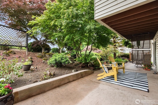 315 10th Ave S Unit 101, Kirkland, WA 98033 - view of patio / terrace