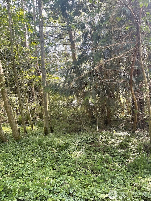 1321 54th St, Port Townsend, WA 98368