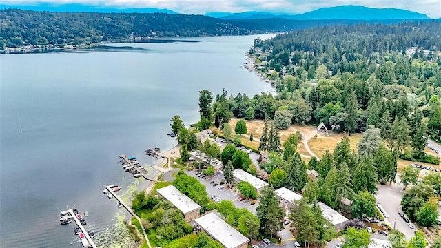 3834 175th Ave NE Unit G16, Redmond, WA 98052 - drone / aerial view of a water and mountain view and a heavily wooded area