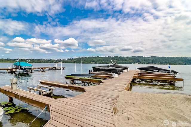 3834 175th Ave NE Unit G16, Redmond, WA 98052 - dock area with boat lift and a water view