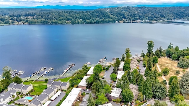 3834 175th Ave NE Unit G16, Redmond, WA 98052 - drone / aerial view of a heavily wooded area and a nearby body of water