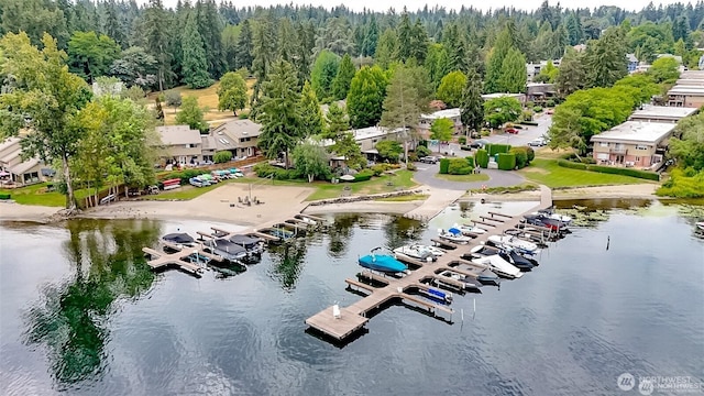 3834 175th Ave NE Unit G16, Redmond, WA 98052 - aerial view of a large body of water and a forest