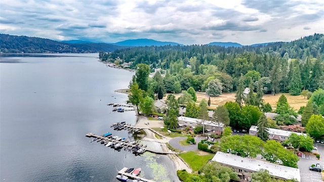 3834 175th Ave NE Unit G16, Redmond, WA 98052 - aerial view of a water and mountain view and a heavily wooded area