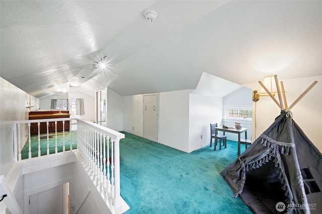 2828 Sunset Dr, Bellingham, WA 98225 - additional living space featuring vaulted ceiling and carpet flooring