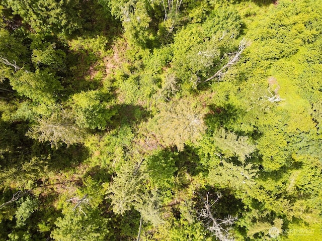 1812 Squalicum Mountain Rd, Bellingham, WA 98226