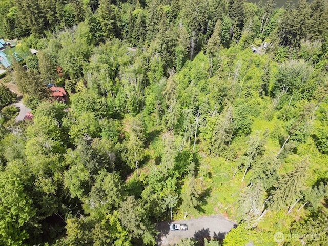 1812 Squalicum Mountain Rd, Bellingham, WA 98226