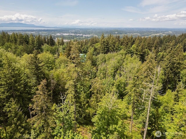 1812 Squalicum Mountain Rd, Bellingham, WA 98226