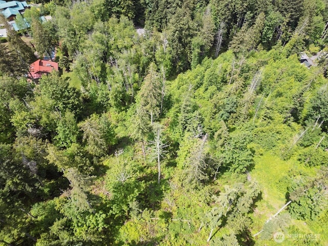 1812 Squalicum Mountain Rd, Bellingham, WA 98226