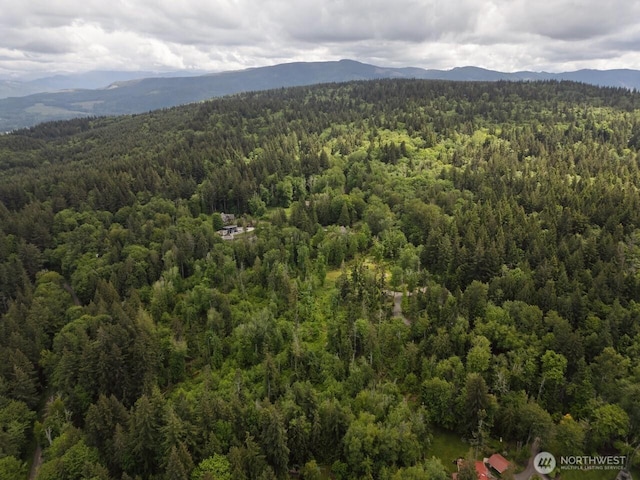 1812 Squalicum Mountain Rd, Bellingham, WA 98226