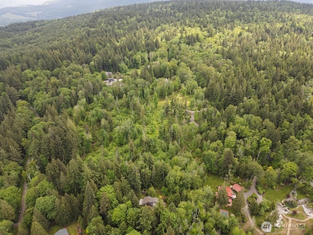 1812 Squalicum Mountain Rd, Bellingham, WA 98226
