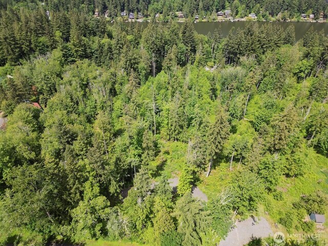 1812 Squalicum Mountain Rd, Bellingham, WA 98226