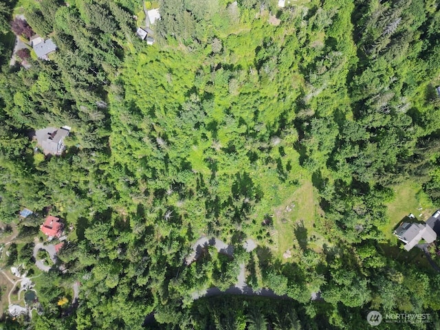 1812 Squalicum Mountain Rd, Bellingham, WA 98226