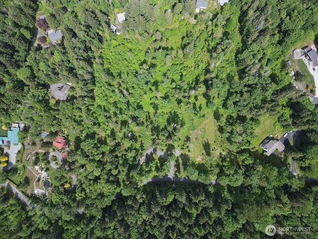 1812 Squalicum Mountain Rd, Bellingham, WA 98226