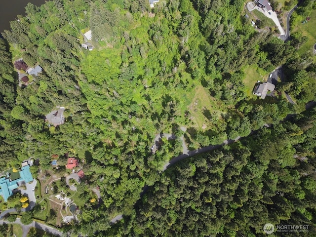 1812 Squalicum Mountain Rd, Bellingham, WA 98226