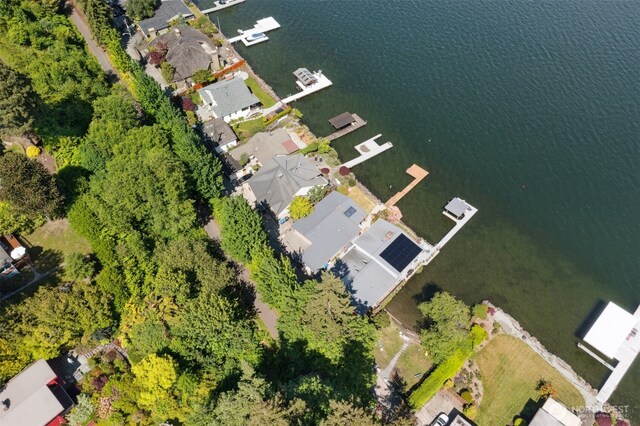 13008 Riviera Pl NE, Seattle, WA 98125 - bird's eye view of a nearby body of water
