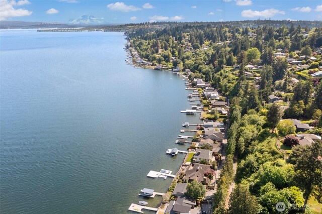 13008 Riviera Pl NE, Seattle, WA 98125 - aerial view of a nearby body of water