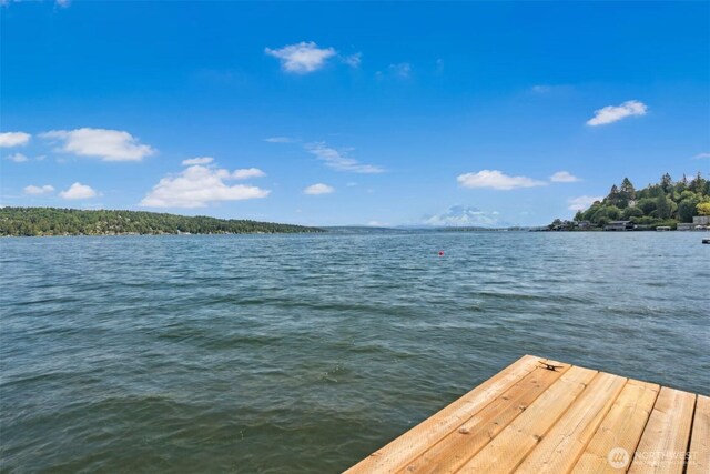 13008 Riviera Pl NE, Seattle, WA 98125 - dock area featuring a water view