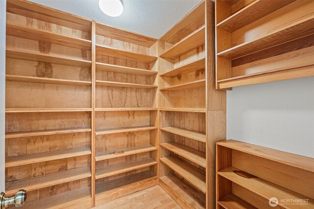 11207 Lake Steilacoom Dr SW, Lakewood, WA 98498 - photo 19