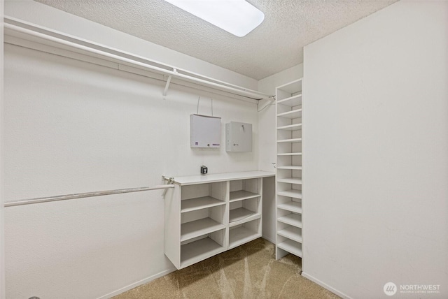 11207 Lake Steilacoom Dr SW, Lakewood, WA 98498 - photo 26