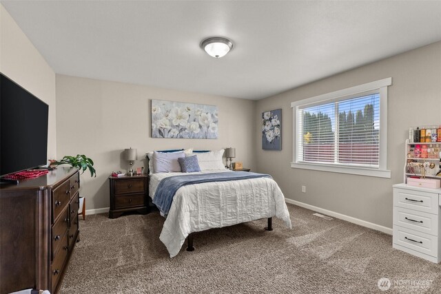 217 Parkside Loop, Napavine, WA 98532 - photo 15