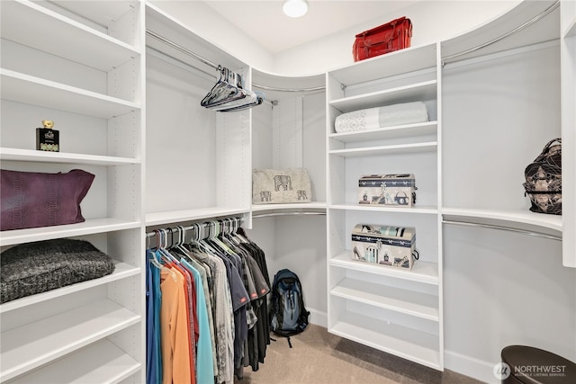 4907 Main St Unit 107, Tacoma, WA 98407 - walk in closet featuring carpet