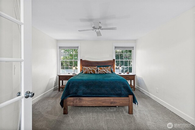5758 Overlook Ave NE, Tacoma, WA 98422 - bedroom featuring carpet, multiple windows, and baseboards
