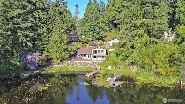 35029 37th Ave S, Auburn, WA 98001 - view from above of property with a heavily wooded area and a large body of water