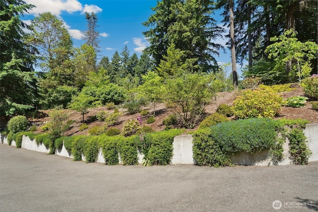 35029 37th Ave S, Auburn, WA 98001 - view of yard