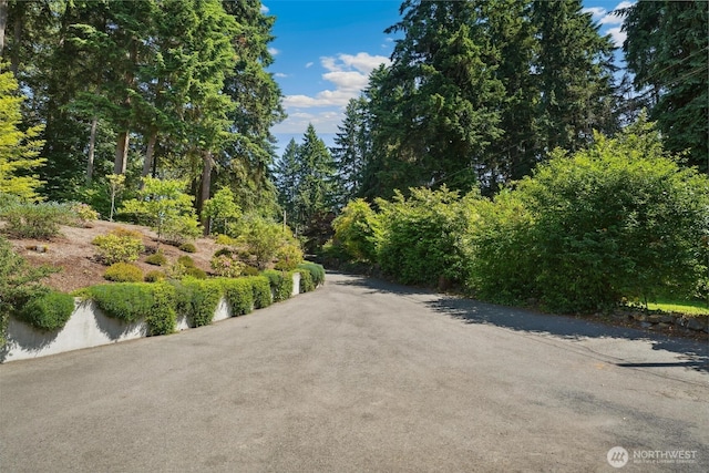 35029 37th Ave S, Auburn, WA 98001 - view of asphalt road