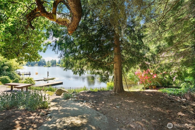 35029 37th Ave S, Auburn, WA 98001 - water view featuring a dock